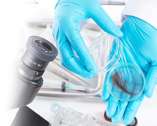 Exame Toxicológico