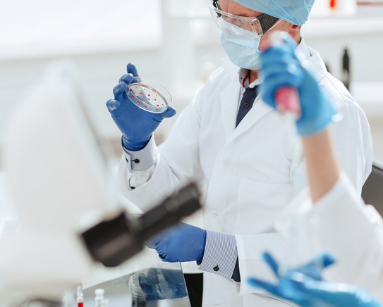 Teste Molecular e Oncologia
